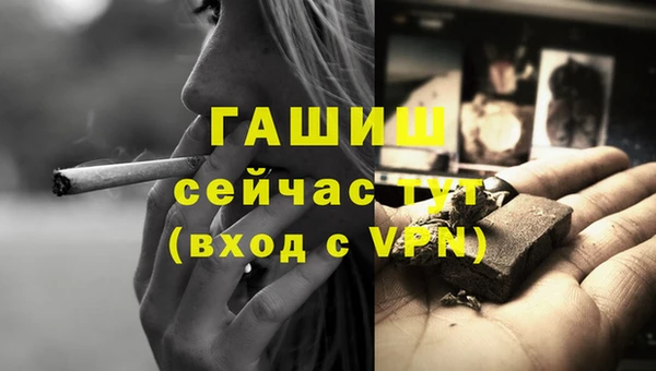 дмт Богородск