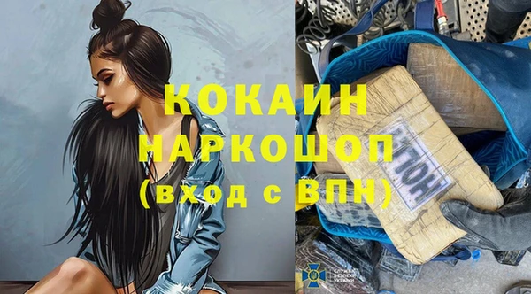 индика Белокуриха