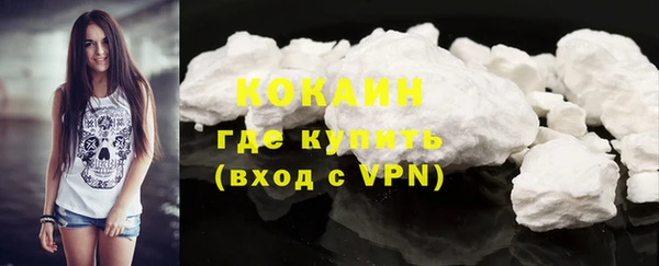 индика Белокуриха