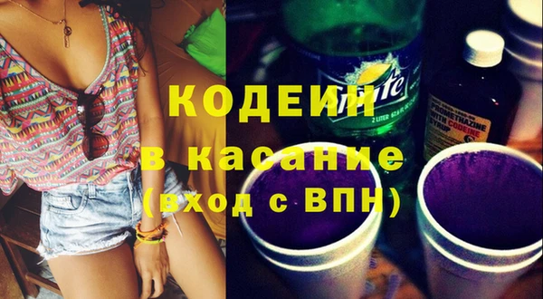 индика Белокуриха