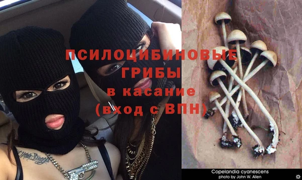 мет Беломорск