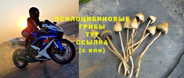 индика Белокуриха