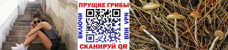 Галлюциногенные грибы мухоморы  Керчь 